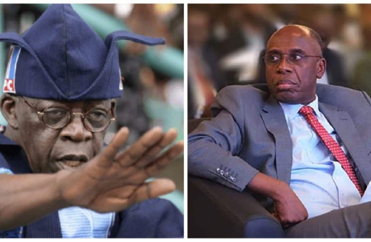 2023: Tinubu’s Presidency Threatened As South-South APC Stakeholders Allege Hate On Amaechi