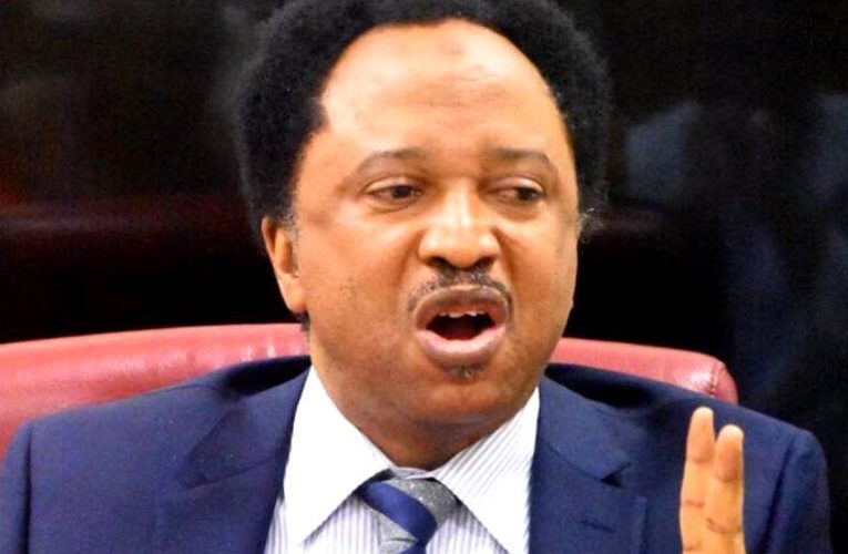 2023: Shehu Sani Reveals Why Gunmen Attack, Burn INEC offices