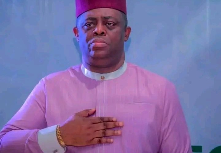 Fani-Kayode Speaks As DSS Frees Him On Bail