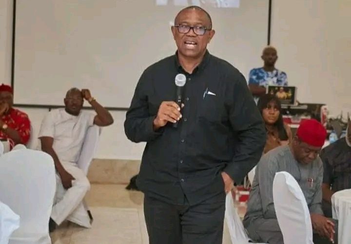 PHOTOS [Leadership Capacity] Senator-elect Slumbers As Peter Obi Addresses Labour Party Winners of National Assembly Election