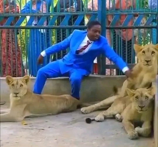 Photos: “Miracle No Dey Tire Jesus” Prophet Enters Den, Plays With Lions Unhurt