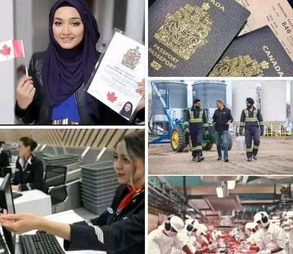 JAPA: Top Ten Lucrative Jobs, 5,000 Vacancies for Workers Without Degrees in Canada 2023/2024 Hiring