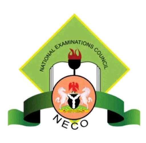 Annual Award Ceremony: NECO Sets to Award Ifebube Chelsea, Overall Best Candidate in 2023 SSCE Internal