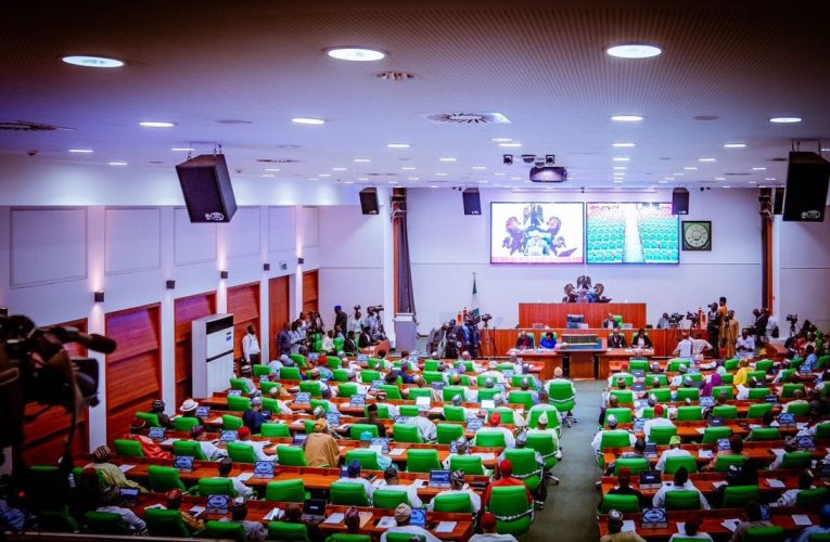 Industrial Training Fund to Account for N3bn–Reps