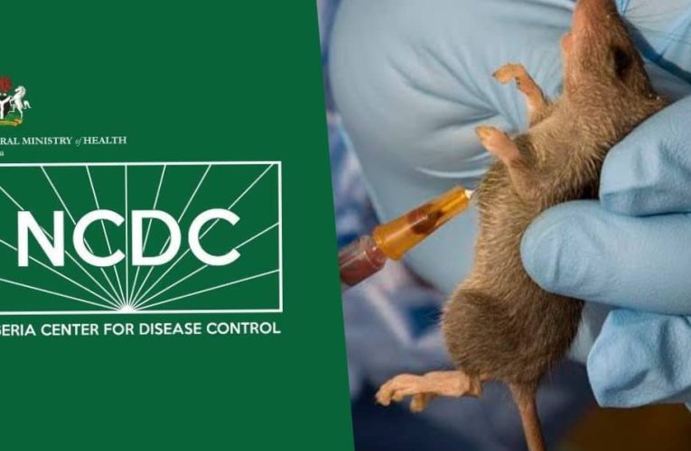 Nigeria Loses 84 as Lassa Fever Outbreak Rocks Country