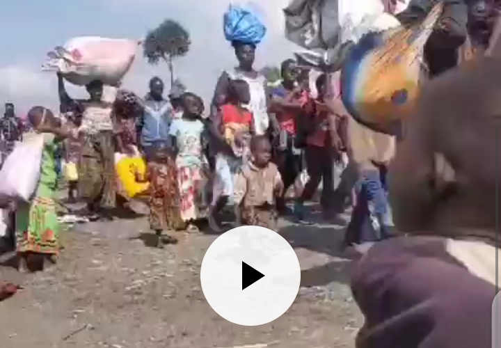 VIDEO: Congo Again! What’s Going on in Africa?