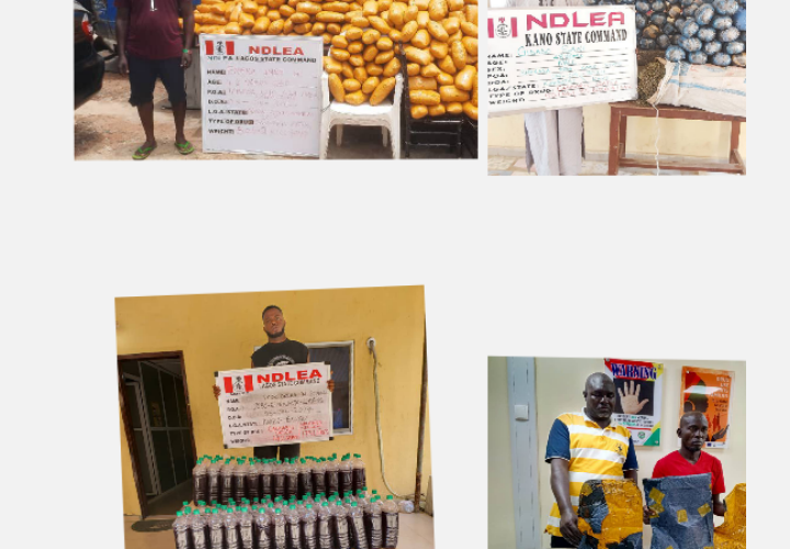 PHOTOS: NDLEA Bust Drug Camps In Lagos, Others; Nabs Suspected Drug Traffickers