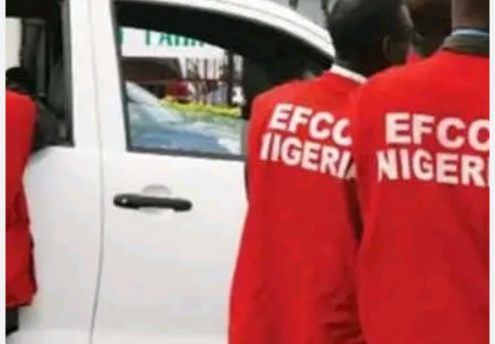 EFCC Investigates More Celebrities for Naira Abuse Following Bobrisky’s Jail Sentence