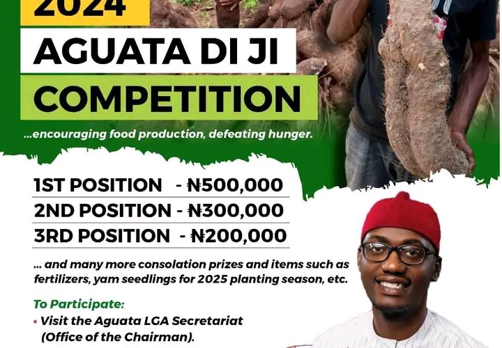 Details as Aguata LGA Launches First-Ever Di Ji Yam Competition