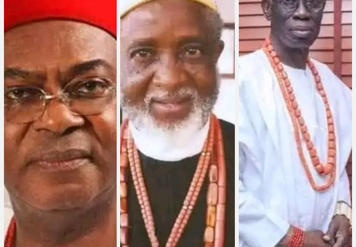 Meet Anambra’s 3 Most Educated Traditional Rulers