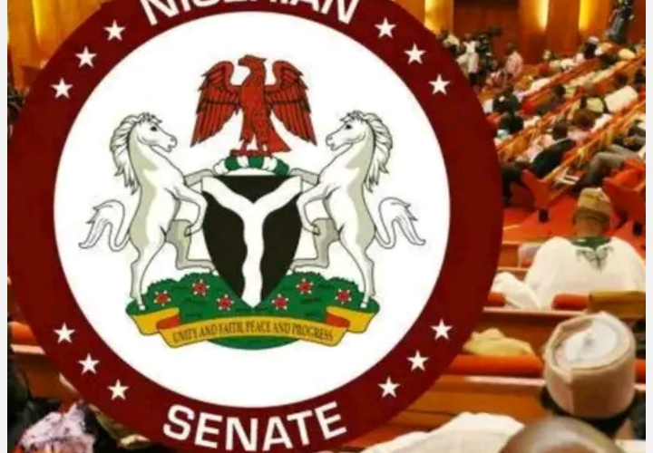 Nigerian Senate Set to Fix University Admission Age at 18