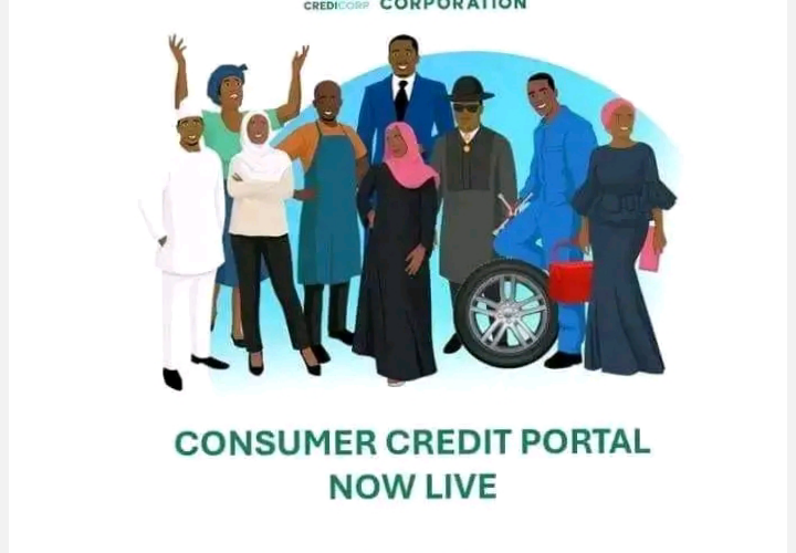 8 Vital Things Nigerians Need to Know About FG’s Consumer Credit Scheme