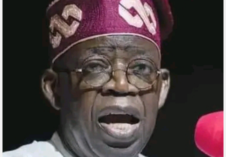 Details on How Tinubu Government Borrowed Trillions of Naira From CBN in Six Months