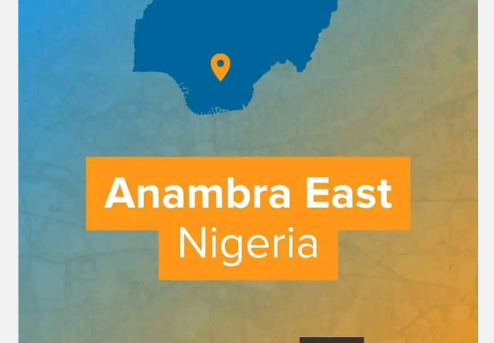 Anambra East LGA Breaks National Record