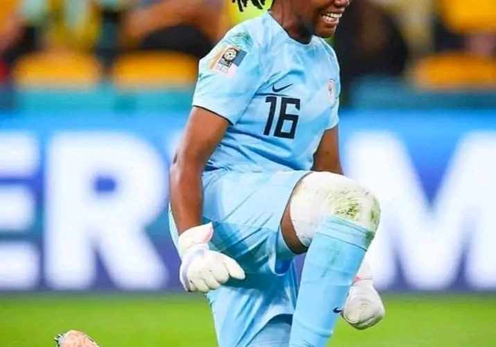 Super Falcons’ Chiamaka Nnadozie Clinches Top Goalkeeper Award in French League