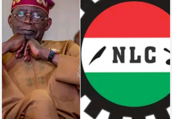 NLC Calls for a New Minimum Wage, Rejects President Tinubu’s Pay Rise Offer