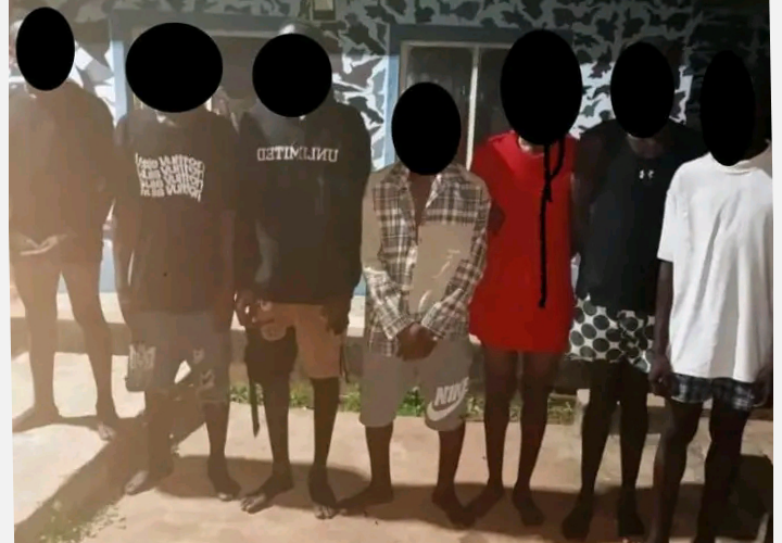 Anambra Police Nabs Seven Suspected Cult Members, Continue Search for Others