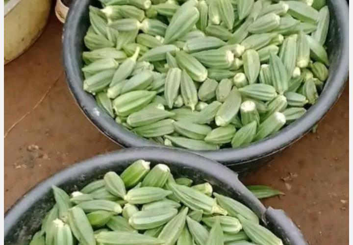 10 Fascinating Facts About Okro You Never Knew