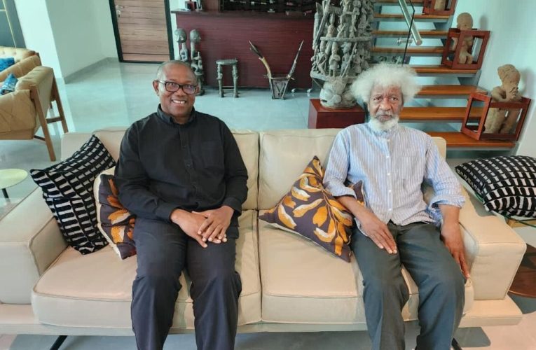 2027: Final Warning To Professor Wole Soyinka To Quit Hurling Mudslings At HE Peter Obi Who Accords Him Great Respect