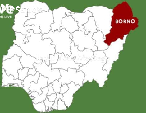 Military JTF Hands Over 277 Rescued Victims to Borno State Government