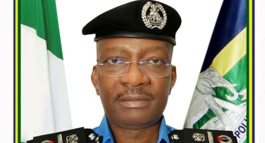 Nigeria’s Inspector-General of Police Suspends e-Central Motor Registry Enforcement