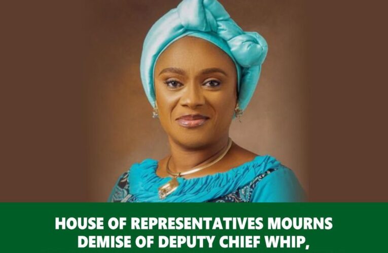 RT. Hon. Oriyomi was a committed parliamentarian who will be greatly missed in the 10th House of Reps—Hon. Gwacham Maureen